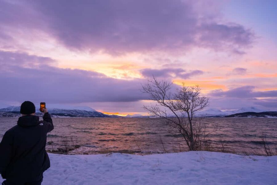 Tromsø: Senja Fjord Tour in Chinese/English Small-Group - The pacing: small-group comfort for a 9-hour commitment