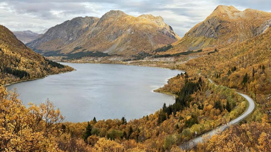 Tromsø: Senja Fjords & Coast Day Tour with FREE Photos - Bergsbotn viewing platform: wrap up with one last viewpoint