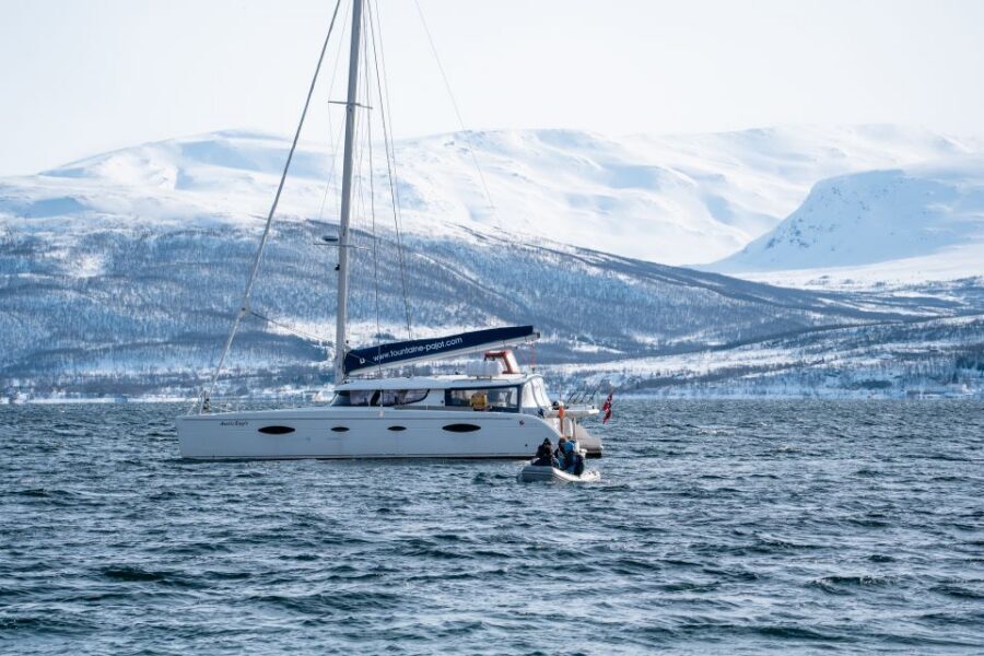 Tromso: Sightseeing Cruise by Catamaran with Snacks & Drinks - Wildlife Spotting With a Crew That Actually Talks