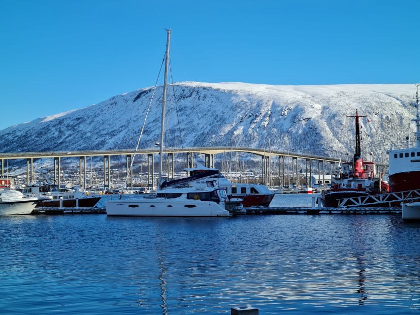 Tromso: Sightseeing Cruise by Catamaran with Snacks & Drinks - Logistics That Matter (Without Making Your Day Hard)