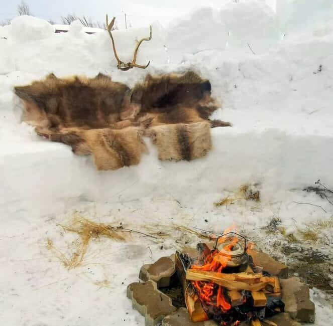 Tromsø: Sledding, Toboggan, Mini Skiing, Lasso & Arctic Fun - Key points before you go