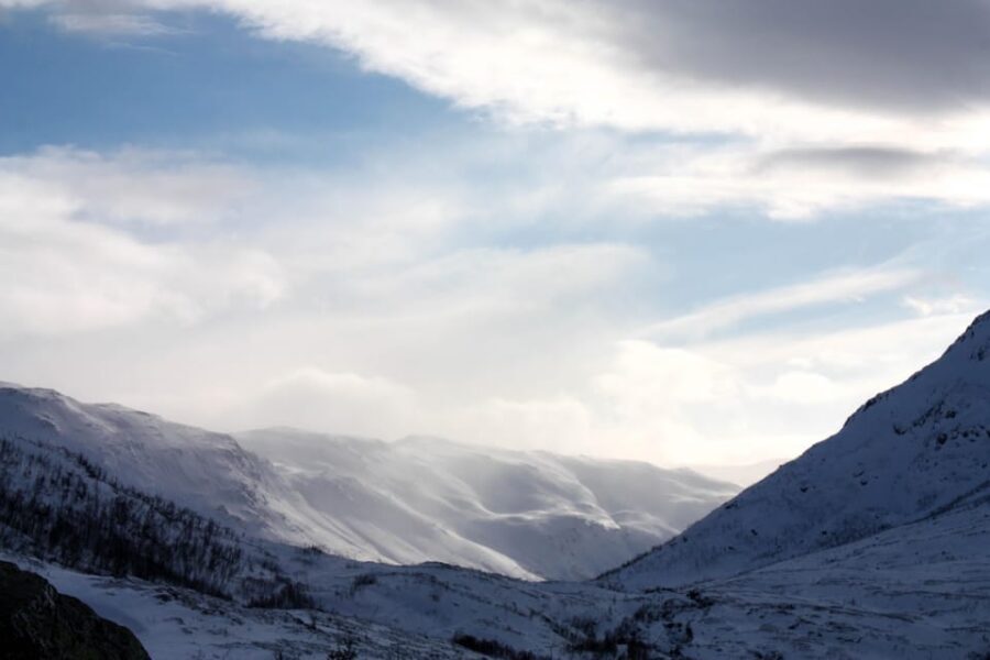 Tromsø: Small group Fjord Adventure, by Local - Sommarøy: Lunch by the Water, Wildlife Watching, and Time to Breathe