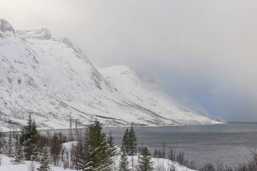 Tromsø: Small-Group Northern Lights Chase by Van with Photos - The pro photographer plus your phone: how the photo help works