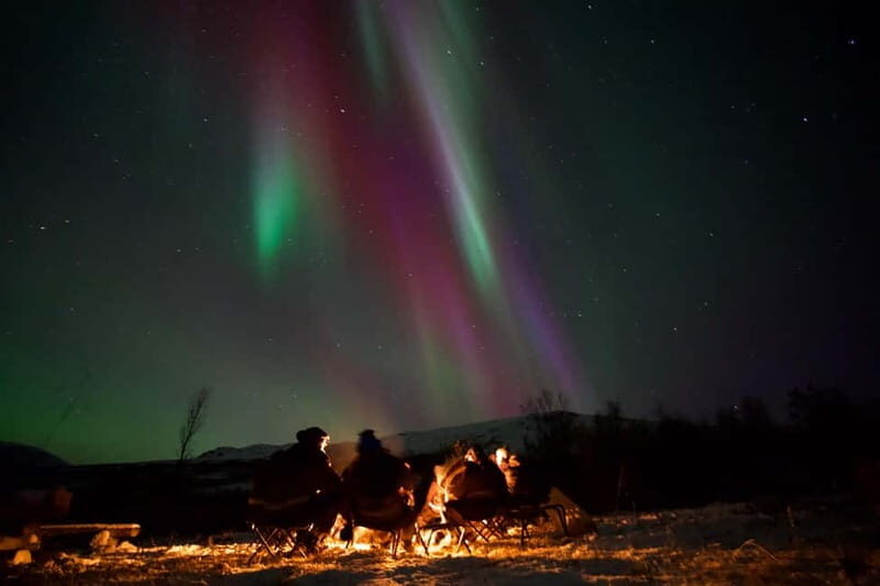 Tromsø: Small-Group Northern Lights Tour by Minibus - Meeting in Tromsø: Scandic Ishavshotel and the Minibus Advantage