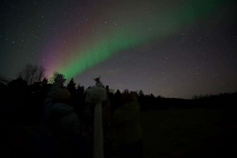 Tromsø: Small-Group Northern Lights Tour by Minibus - Bonfire Break in the Snow: Hot Drinks, Hot Dogs, and Norwegian Snacks
