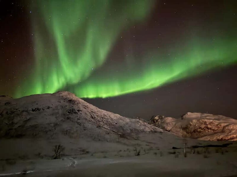 Tromsø: Small-Group Northern Lights Tour by Minibus - Who This Tour Fits Best (and Who Might Want Another Option)