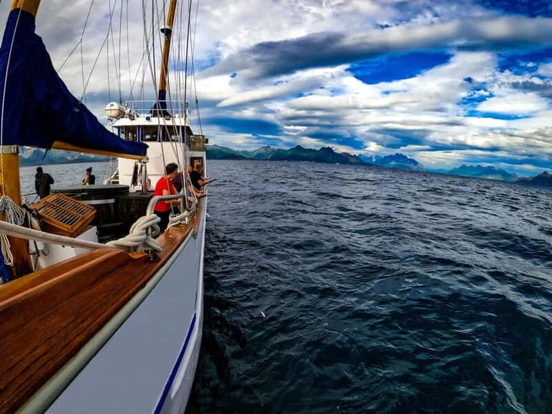 Tromsø: Small Group Sea-to-Table Fishing Experience - Stella Oceana and the small-group size that actually changes the experience