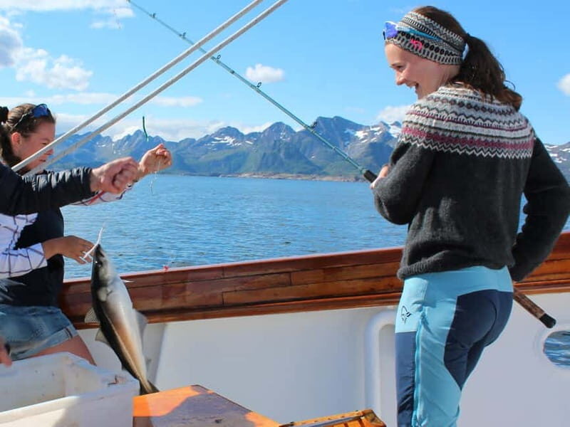 Tromsø: Small Group Sea-to-Table Fishing Experience - Learning Arctic fishing the hands-on way: cast, jig, reel with the crew