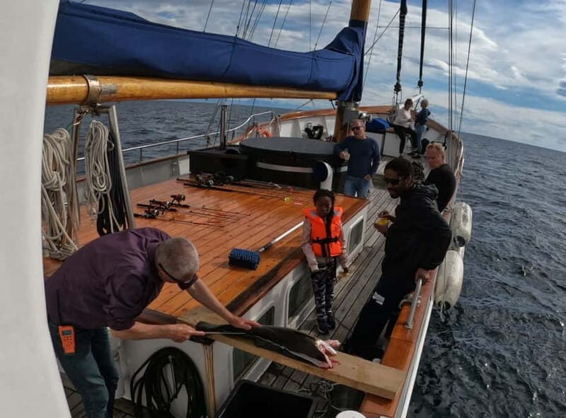 Tromsø: Small Group Sea-to-Table Fishing Experience - The 10:00 AM fjord cruise: Tromsø scenery plus real wildlife potential