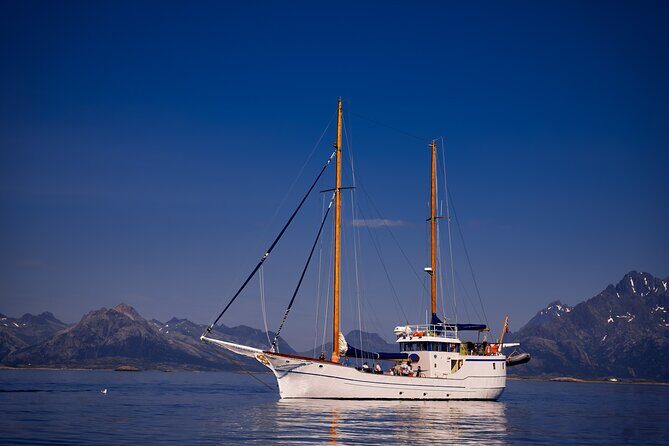 Tromsø Small Group Sea-to-Table Fishing Trip - Crew energy and hands-on help: what the names tell you