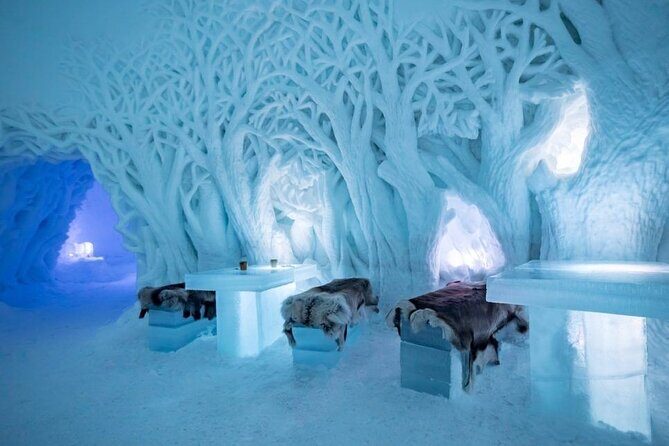 Tromsø Snowmobiling, Ice Domes Snow Park, and Reindeer Visit - How the Day Flows: Bus to Camp Tamok and Back
