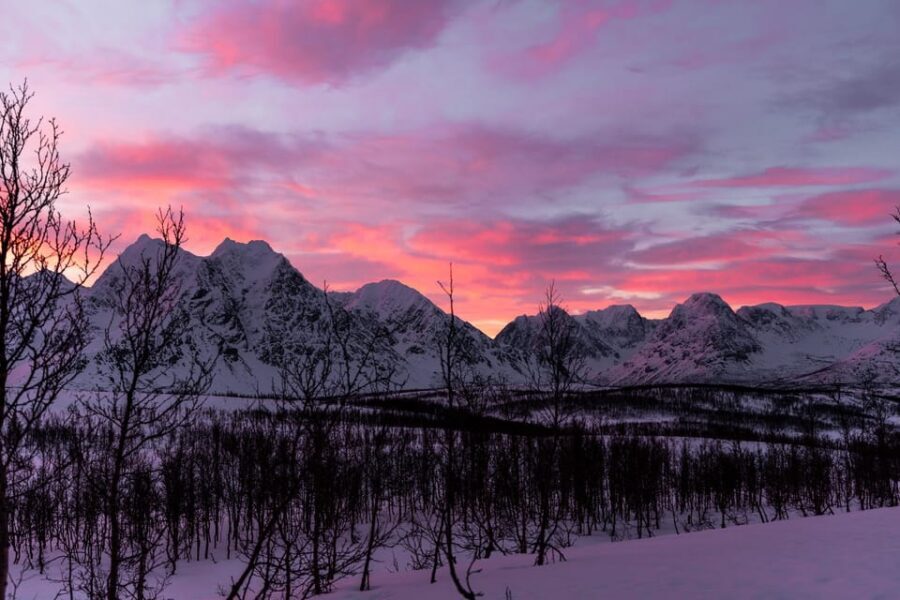 Tromso-Snowshoeing excursion to view point - 11:00 Pickup in Tromsø: A Smarter Start