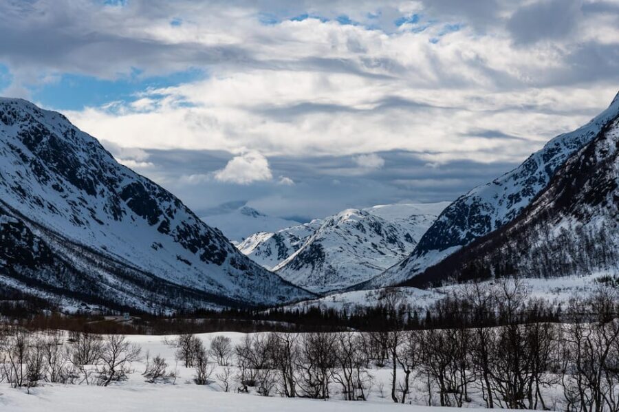 Tromso-Snowshoeing excursion to view point - Snowshoeing for Real: Views While You Move