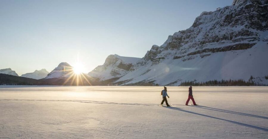 Tromsø: Snowshoeing in Scenic Landscape - Your Winter Walking Kit: Snowshoes, Poles, and Real Guidance
