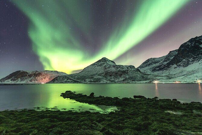 Tromso Snowshoeing - Valley, Fjord Views, Wildlife, Meal & Pickup - Key highlights at a glance