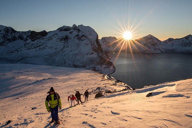 Tromso Snowshoeing - Valley, Fjord Views, Wildlife, Meal & Pickup - From city pickup to Arctic roads: the calm start