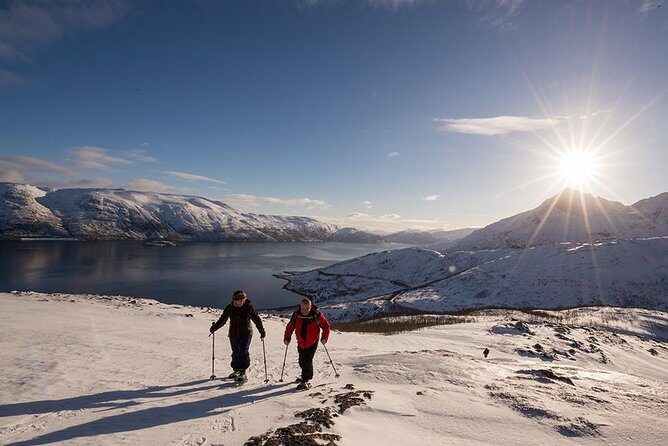 Tromso Snowshoeing - Valley, Fjord Views, Wildlife, Meal & Pickup - Pickup-to-hike logistics: small group, real gear, and photo support