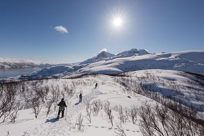 Tromso Snowshoeing - Valley, Fjord Views, Wildlife, Meal & Pickup - Warmth, wind, and the clothing checklist that actually matters