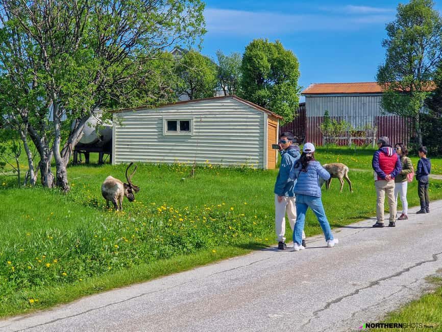 Tromsø: Sommaroy Fjord Tour with Lunch Option - Lunch option vs expedition food: what you can count on