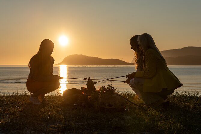 Tromsø & Sommarøy - Private coastal tour with a local - Hella and Hellastraumen: 6000-year rock carvings by the road