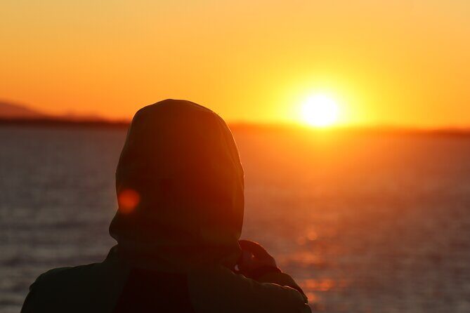 Tromsø & Sommarøy - Private coastal tour with a local - The value question: $796.91 per group for up to 6