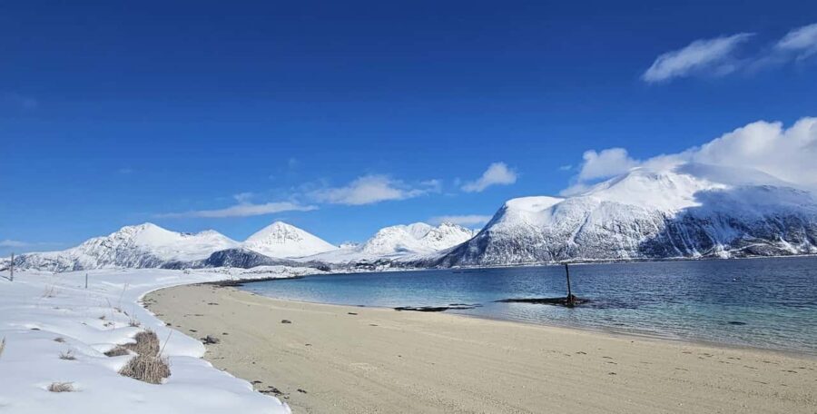 Tromsø: Sommerøya and Kvaløya Arctic Fjords Tour with Lunch - From Tromsø to the Arctic coast: why this drive feels like a day away