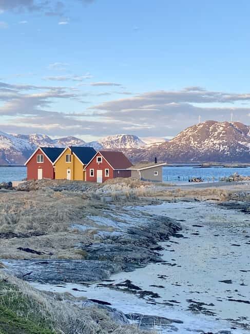 Tromsø: Sommerøya and Kvaløya Arctic Fjords Tour with Lunch - Transport, group size, and why that affects your enjoyment
