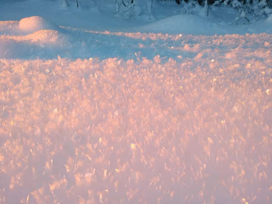 Tromsø Street to Wilderness: Guided Snowshoe Hike - A Bonus After the Hike: Cable Car Connections