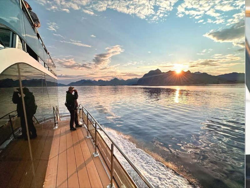 Tromsø: Summer Arctic Light Cruise with a Guide - Key Points You’ll Care About