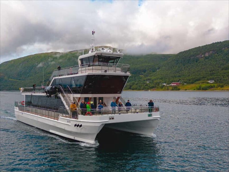 Tromsø: Summer Arctic Light Cruise with a Guide - Price Check: Does $103 Feel Fair for a 4-Hour Arctic Light Cruise?