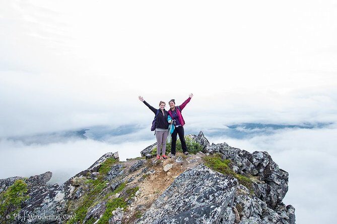 Tromsø: Summer Day Hike with Wandering Owl - Photos by Email: Getting Memories Without Carrying the Whole Day