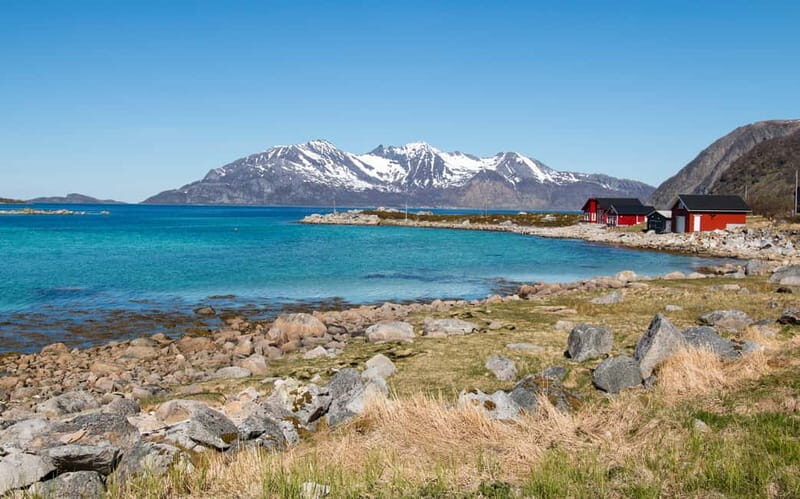 Tromsø: Summer Fjord Road Trip with Citizen Science - What to bring (and what to expect on a windy coast)