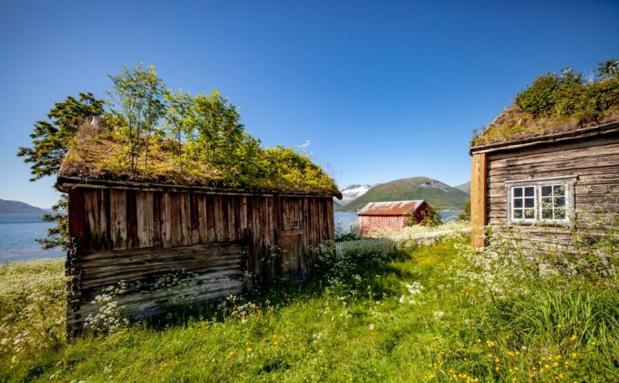 Tromsø: Summer Fjord Road Trip with Citizen Science - A homemade Arctic picnic: food that fits the outing