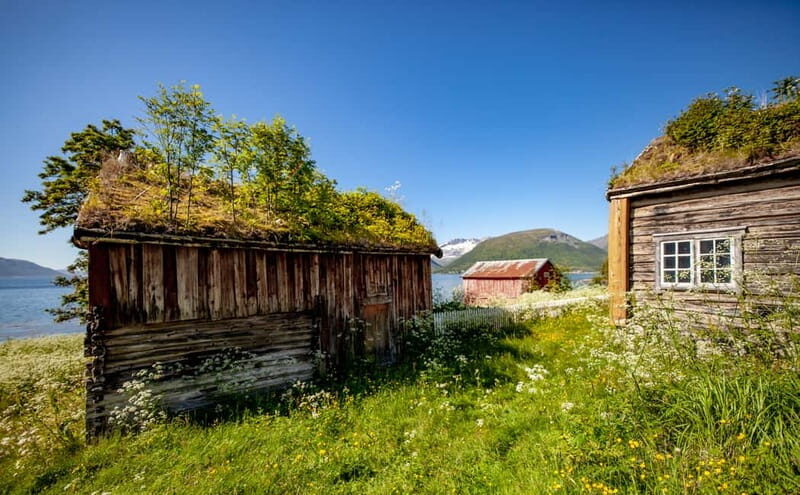 Tromsø: Summer Fjord Road Trip with Citizen Science - Kvaløya viewpoints and photo stops: how you get real variety