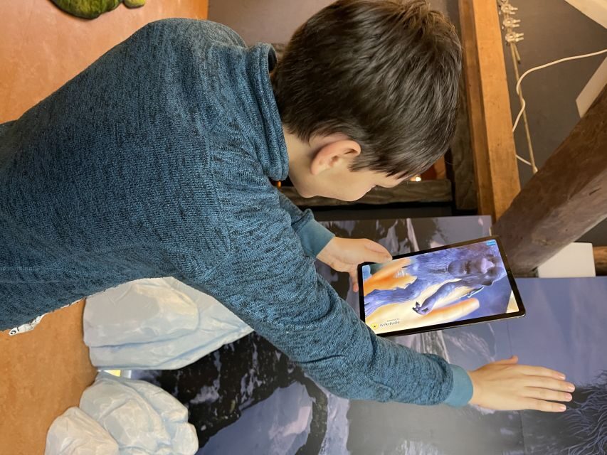 Tromsø: Troll Museum Entry Ticket with AR Media Experience - Price and value: is $21 worth it?