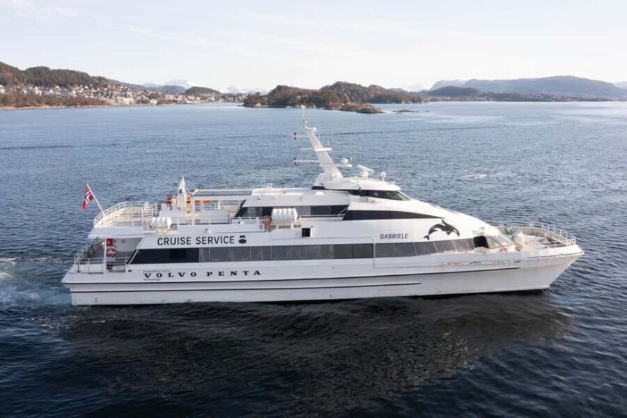 Tromsø Whale Safari with MS Gabriele - Indoor windows vs open deck: your best strategy in Arctic winter