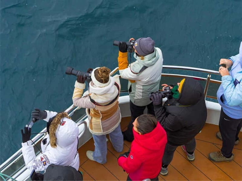 Tromsø: Whale Watching on hybrid boat with scenic bustrip - Key Things That Make This Whale Tour Worth Your Time