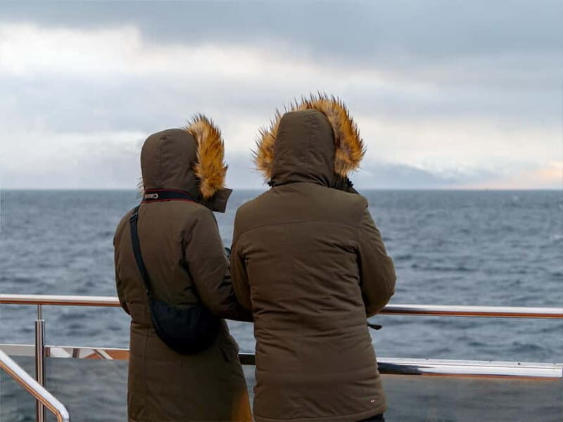 Tromsø: Whale Watching on hybrid boat with scenic bustrip - The 9-Hour Flow: Boat-First vs Bus-First Day
