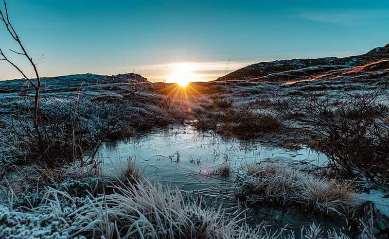 Tromsø: Winter Fjord Road Trip - Wildlife Chances Beyond the Usual Sighting