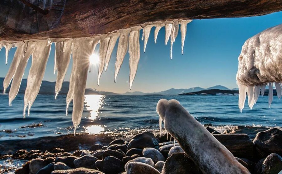 Tromsø: Winter Fjord Road Trip - Citizen Science on the Arctic Edge (With Meaning)