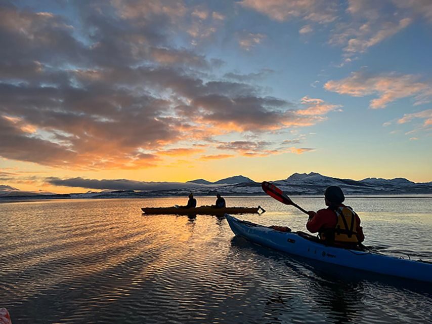 Tromsø: Winter Sea Kayaking Tour with Wildlife Sightings - The Instruction Phase: How Beginners Stay Calm on Icy Shorelines