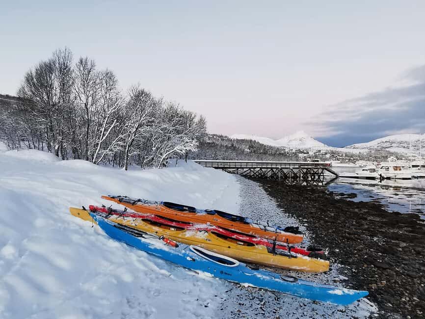 Tromsø: Winter Sea Kayaking Tour with Wildlife Sightings - Price and Value: Why $225 Can Be a Good Deal in Winter