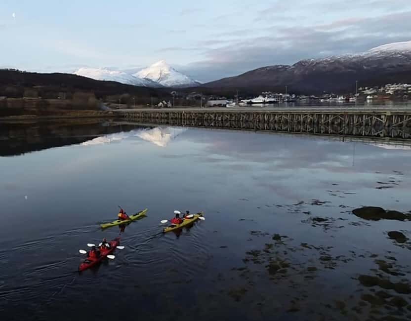 Tromsø: Winter Sea Kayaking Tour with Wildlife Sightings - What You Should Bring (and the Small Stuff That Trips People Up)