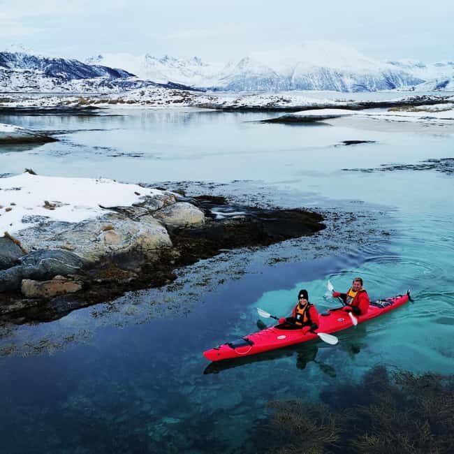 Tromsø: Winter Sea Kayaking Tour with Wildlife Sightings - Who This Tour Is For (and Who Might Want a Different Day)
