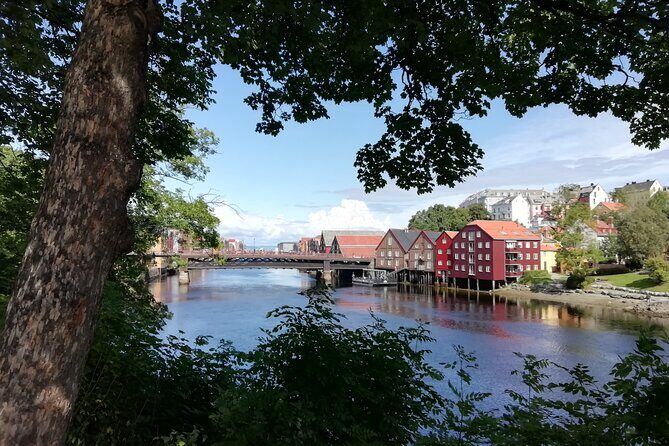 Trondheim: Discover the city of kings with a local guide - Starting at Torvet: your easy “navigation landmark”