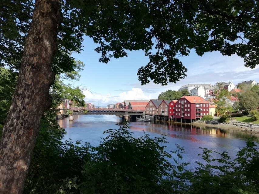 Trondheim : Explore the city of kings with a local guide - Key highlights you’ll feel right away