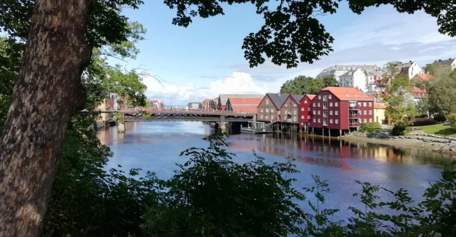 Trondheim : Explore the city of kings with a local guide - Who this Trondheim tour fits best