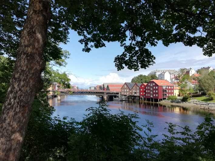 Trondheim : Explore the city of kings with a local guide - Olav Tryggvason at Torvet: the Viking origin story, up close
