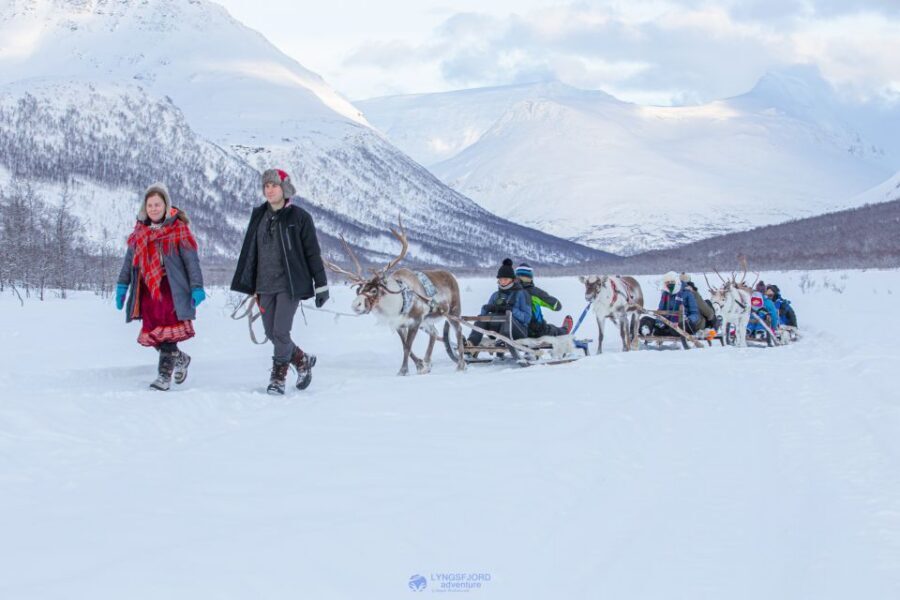 True Locals of the Arctic: Reindeer Sledding at Camp Tamok - Tromsø to Tamokdalen: The 90-Minute Ride That Starts the Day Right