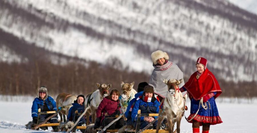 True Locals of the Arctic: Reindeer Sledding at Camp Tamok - Reindeer Sledding at Camp Tamok: Gentle, Slow, and Up Close